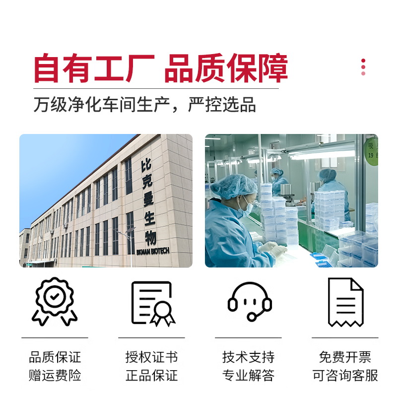 国药七水合硫酸亚铁分析纯AR500g克化学试剂实验室用组培养花肥料 - 图1