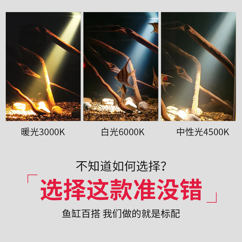 可调焦南美鱼缸射灯造景专用三湖雷龙原生水草缸海缸鱼缸led夹灯 - 图0