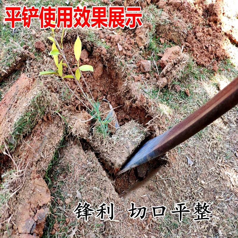 弹簧钢挖树铲平口铁锹打洞挖坑移植农用园林工具花铲锰钢锹挖树锹,淘宝优惠券,粉丝福利购,淘宝优惠卷