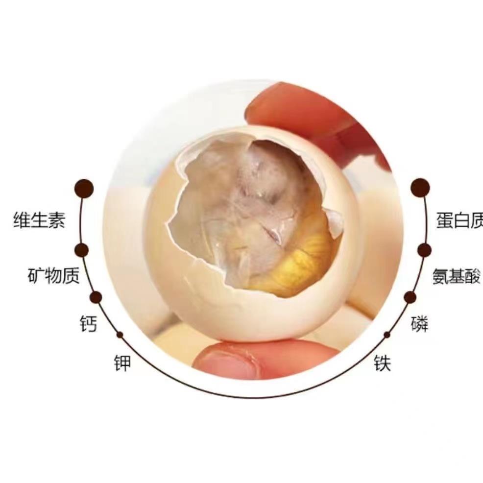 新鲜活珠子生蛋鸡胚蛋13天活珠子生的钢化蛋麻辣毛蛋半蛋龙凤蛋 - 图0