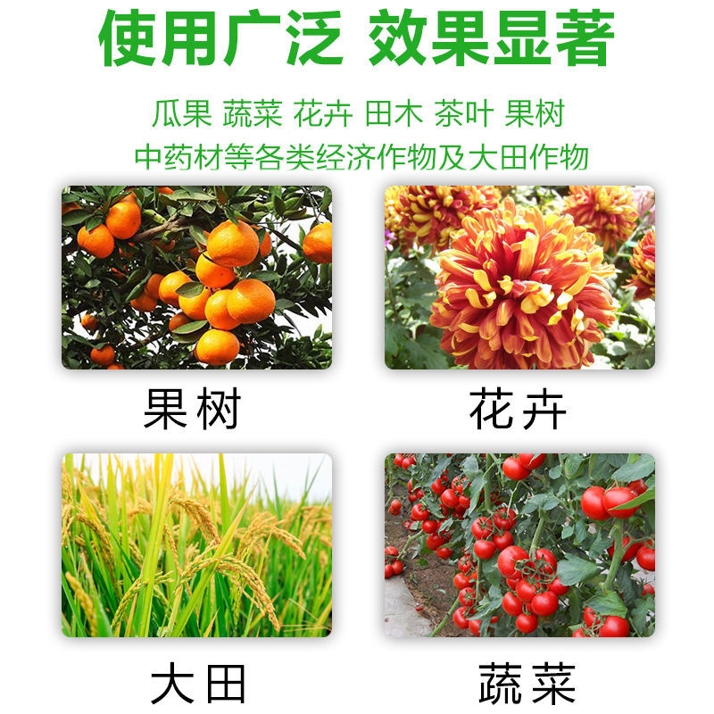 快速生根粉植物通用快速生根强力生根中量元素水溶肥料袋装生根剂,淘宝优惠券,粉丝福利购,淘宝优惠卷