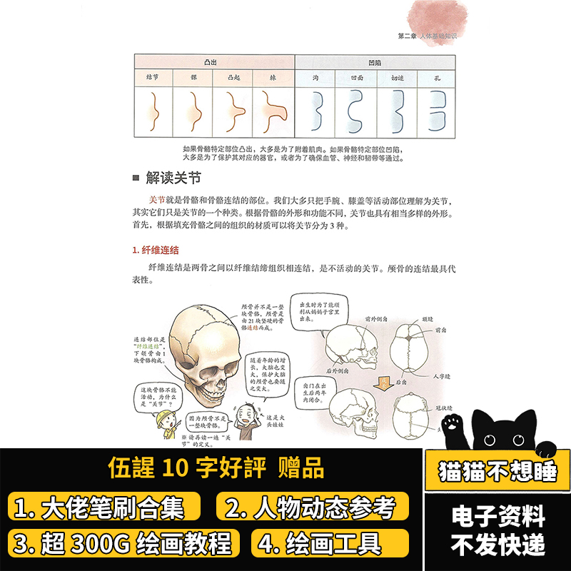 艺用解剖学笔记 人体结构 零基础教学 绘画教程 中文资料绘画素材 - 图1