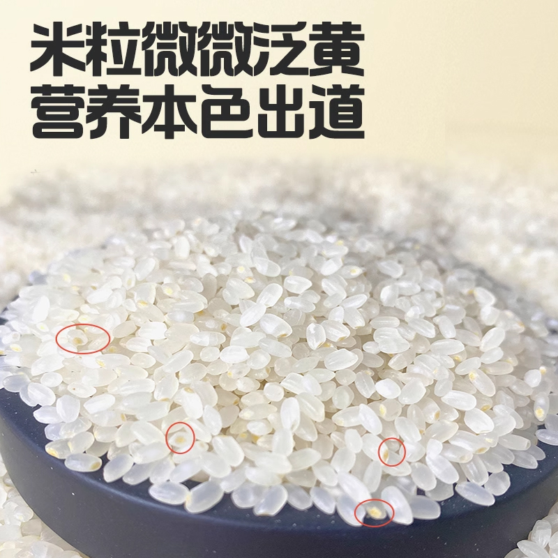 铁力大米正宗东北有机胚芽米10斤真空大米营养小米粥五谷杂粮主食