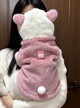 猫咪衣服秋冬保暖带帽棉衣布偶英短幼猫宠物小狗狗加绒加厚防掉毛