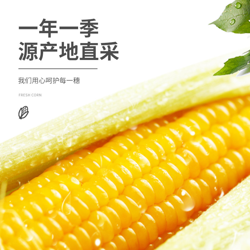 珍谷诱惑东北玉米甜糯香黏粘玉米棒黏玉米粒黄白黑糯玉米真空包装