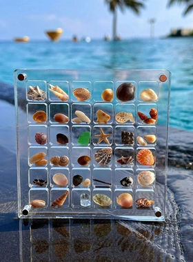 天然迷你小海螺贝壳海星高透亚克力收纳盒材料微贝沙标本海边礼物