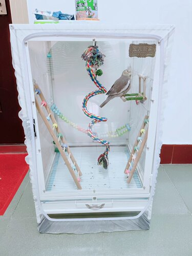 鸟笼防溅网鸟笼防溅罩鸟笼防溅纱网鸟笼罩防飞羽鸟笼防撒食罩 - 图2