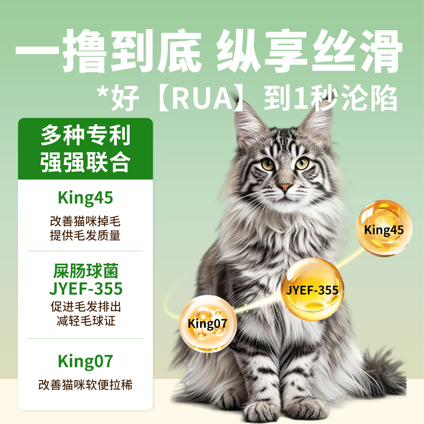 【嘟之谷】高端赛级猫舍猫湿粮罐头温和化毛球营养鲜肉猫饭猫粮,淘宝优惠券,粉丝福利购,淘宝优惠卷