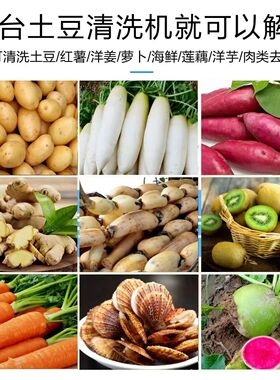 毛刷土豆清洗去皮机生蚝