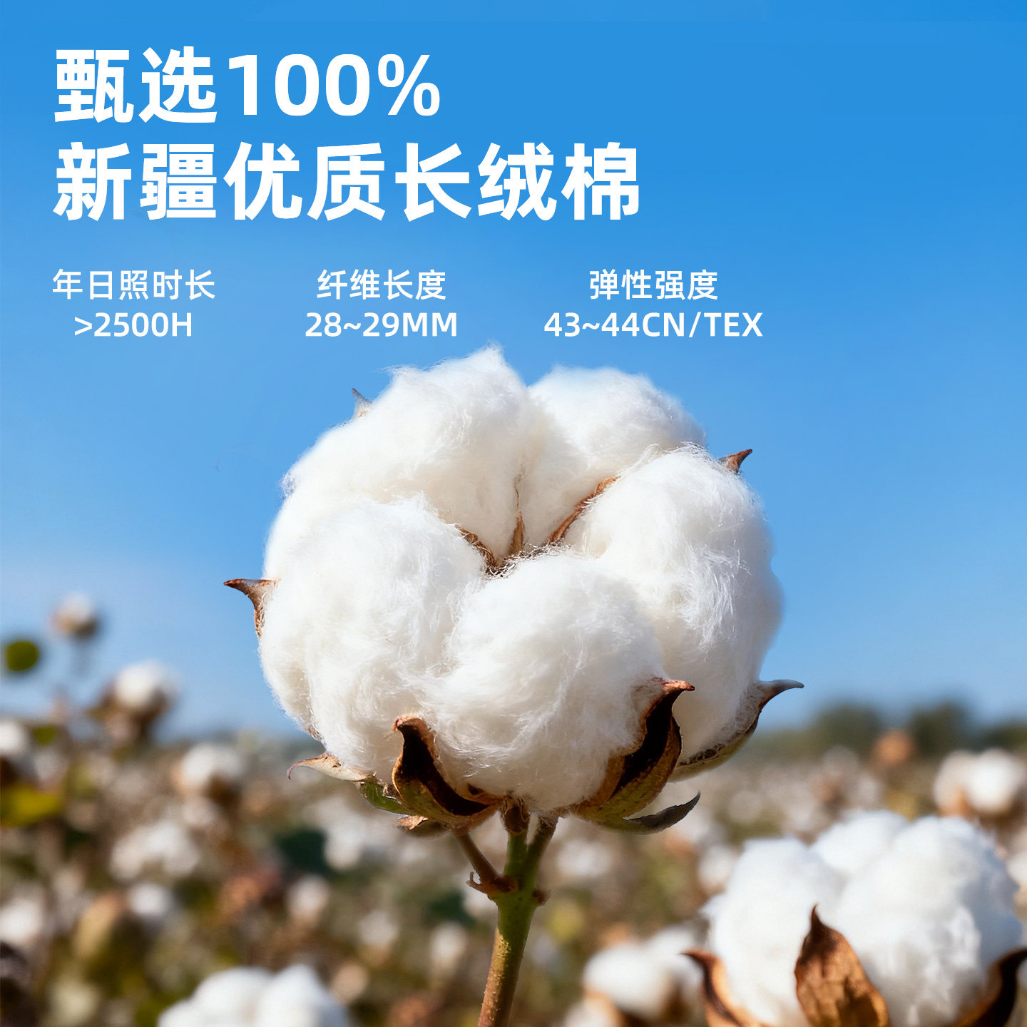 棉被新疆棉花被子一级长绒棉絮床垫被褥子纯棉花加厚冬被芯棉胎,淘宝优惠券,粉丝福利购,淘宝优惠卷