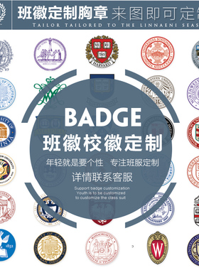 新品刺绣徽章校h服班服刺绣花胸章臂章商标校徽队标公司LOGO定制