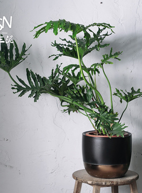 新品御三泥北欧绿植盆客厅插花y摆件花瓶花盆室内室外多肉盆栽种