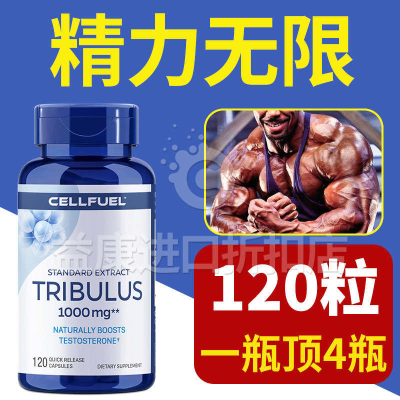  CELLFUEL海外玛咖提取物