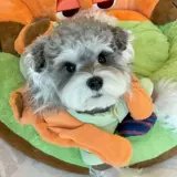 Пуховик, демисезонная толстовка с капюшоном, милая шапка