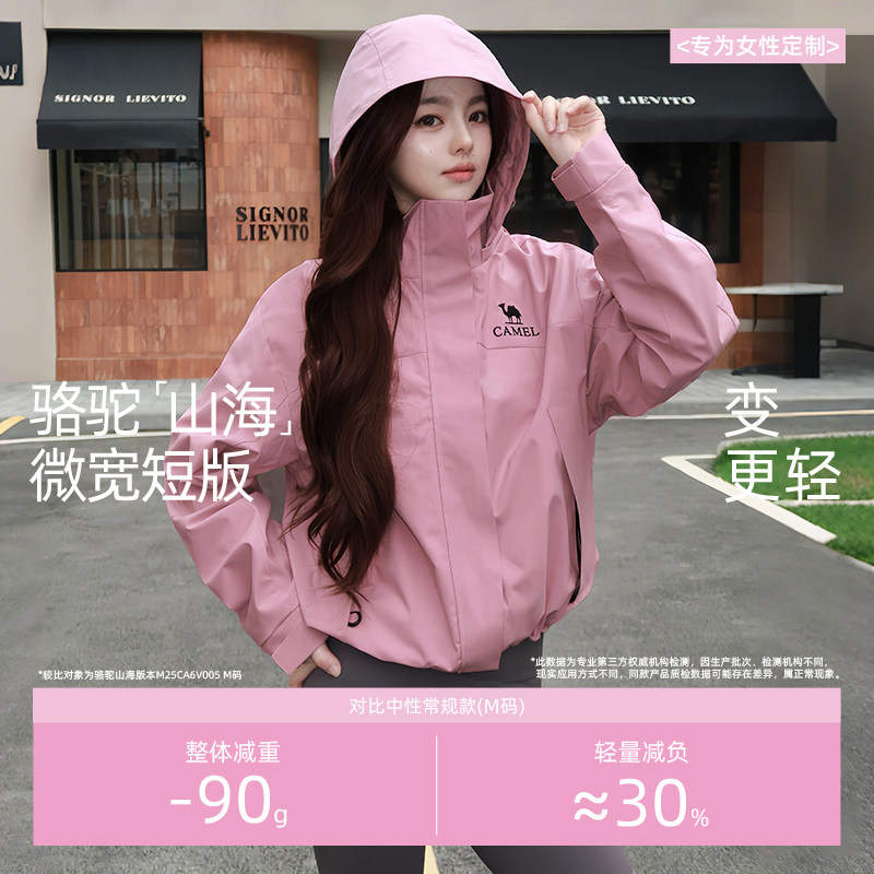 图 3