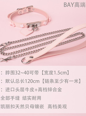 蝴蝶结爪爪爱心牌项圈