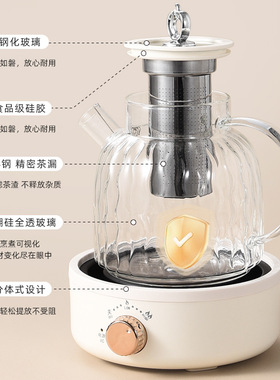 空盒子全玻璃生壶多功能家用办公室保温煮茶器烧水壶花茶壶110V