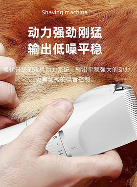 空盒子鼎耐宠物剃毛电推剪狗狗剃毛器泰迪剪毛专用美容剪大功率电