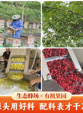 分装瓶收纳罐国风零灼感果酒蜂蜜青梅桑葚杨梅水果酒750ml带礼盒
