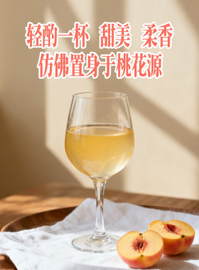 分装瓶收纳罐蜜酿蜜桃果酒低温发酵微醺12度年轻人小瓶酒375毫升