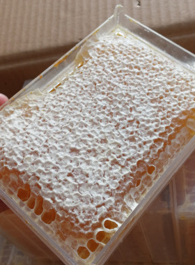 分装瓶收纳罐蜂巢蜜500左右成熟蜂巢蜜农家自产蜂蜜带巢蜂窝蜜