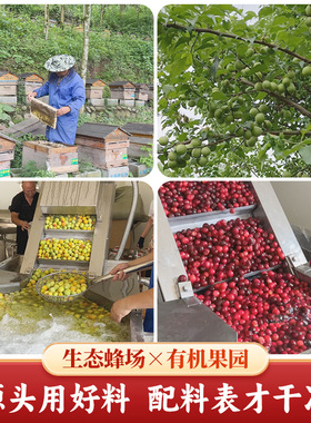 分装瓶收纳罐鑫蜂蜜荔枝酒订婚果酒女士甜酒微醺330毫升瓶装伴手