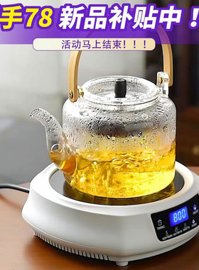 空盒子出口110v伏电陶炉美国日本迷你煮茶器电热茶炉烧水壶小家电