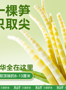 分装瓶收纳罐泡椒笋尖云南特产笋尖笋干嫩竹笋开袋即食零食笋尖整