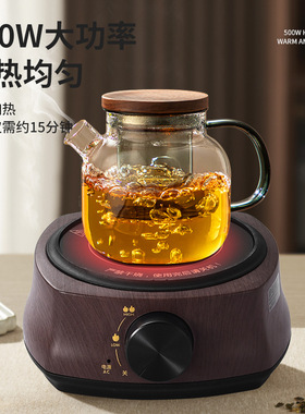 空盒子500W电陶炉小型电热炉家用烧煮茶炉迷你升级版电热炖煮一级
