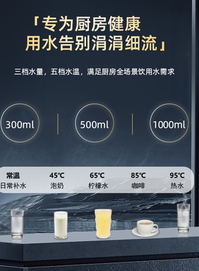 RAINSOFT润索全厨净热一体净水器