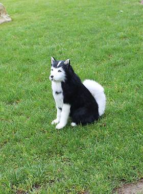 极速真皮毛仿真动物哈士奇萨摩z耶名犬生日礼物礼品家庭摆件仿真