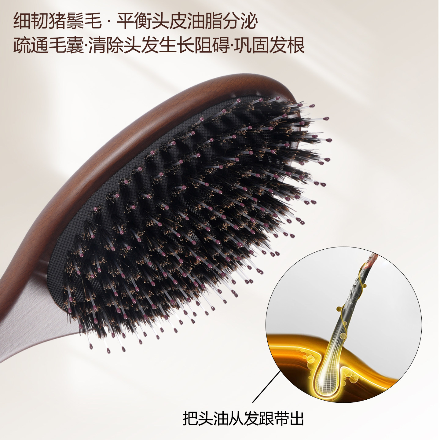 新款天然猪鬃毛梳子气垫梳头皮按摩梳女士家用新款梳子气囊蓬松梳,淘宝优惠券,粉丝福利购,淘宝优惠卷