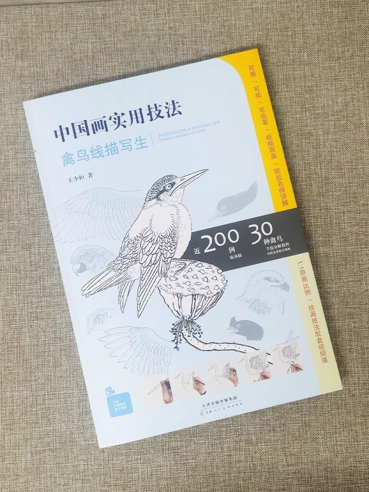 中国画实用技法 禽鸟线描写生工笔花鸟画禽鸟线描白描写生附教学视频200例临摹画稿30种禽鸟手绘分解描摹稿国画初学者基础入门教材