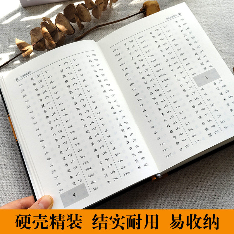 官方正版 简书字典王本兴著繁体字异体字对照字典大全繁简字对照古代汉语汉字词典写简识繁写繁识简简体繁体字学术研究书籍