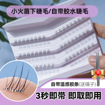 Free Glue Lower Eyelash Sectional Self-Glued False Eyelash Small Fire Fry Jelly Transparent Stalk Without Glue Eyelash Strong Stick