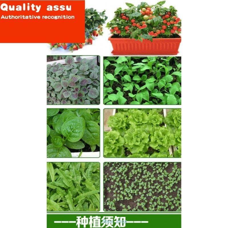 Four Seasons Pot Planting of Various Vegetable Seeds - 图0