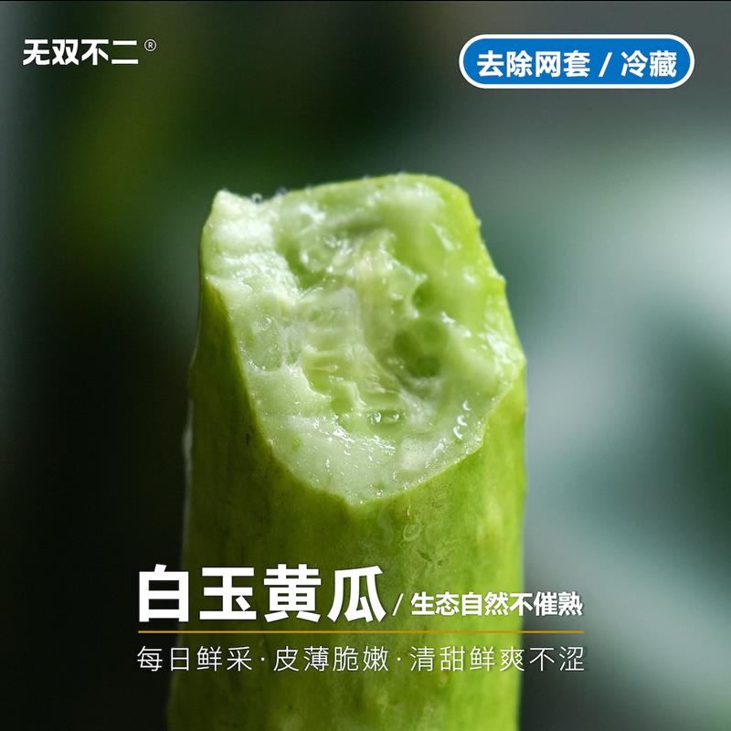 无双不二白玉黄瓜正宗海阳新鲜现摘现发生吃凉拌鲜爽小青瓜孕妇 - 图1