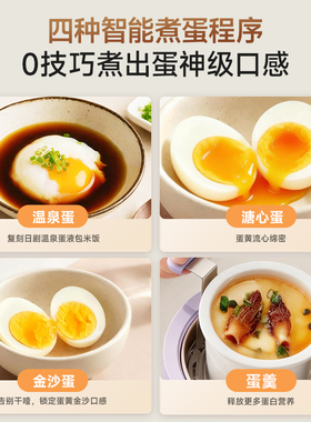 大宇BB煲煮蛋器炖盅煲汤