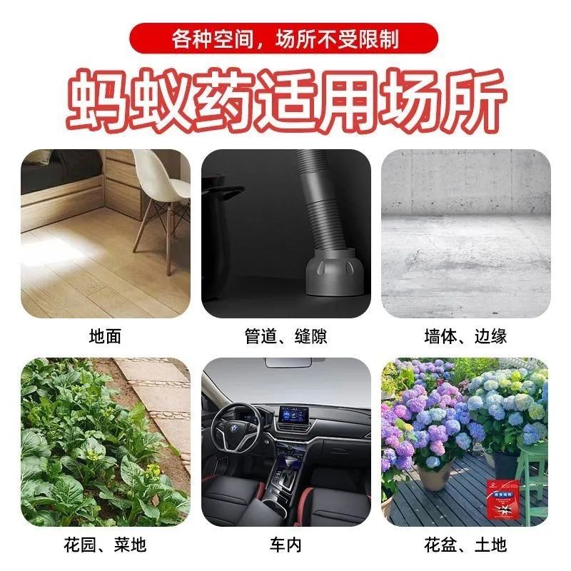 蚂蚁药强效灭杀全窝端无毒家用厨房室内室外灭杀各种大小黑红蚂蚁 - 图1