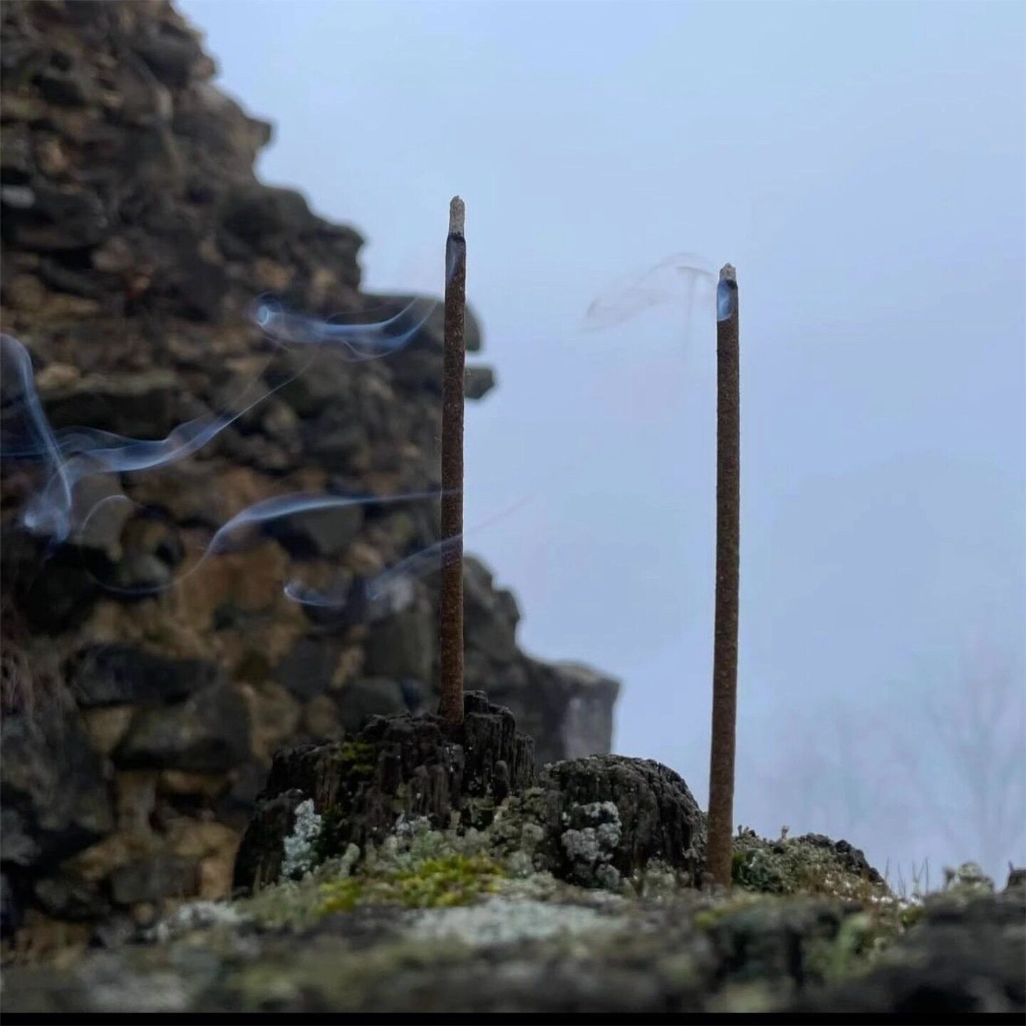 【粗4mm已走流程藏香】黑财神香室内招财能量手工香净化磁场增财,淘宝优惠券,粉丝福利购,淘宝优惠卷