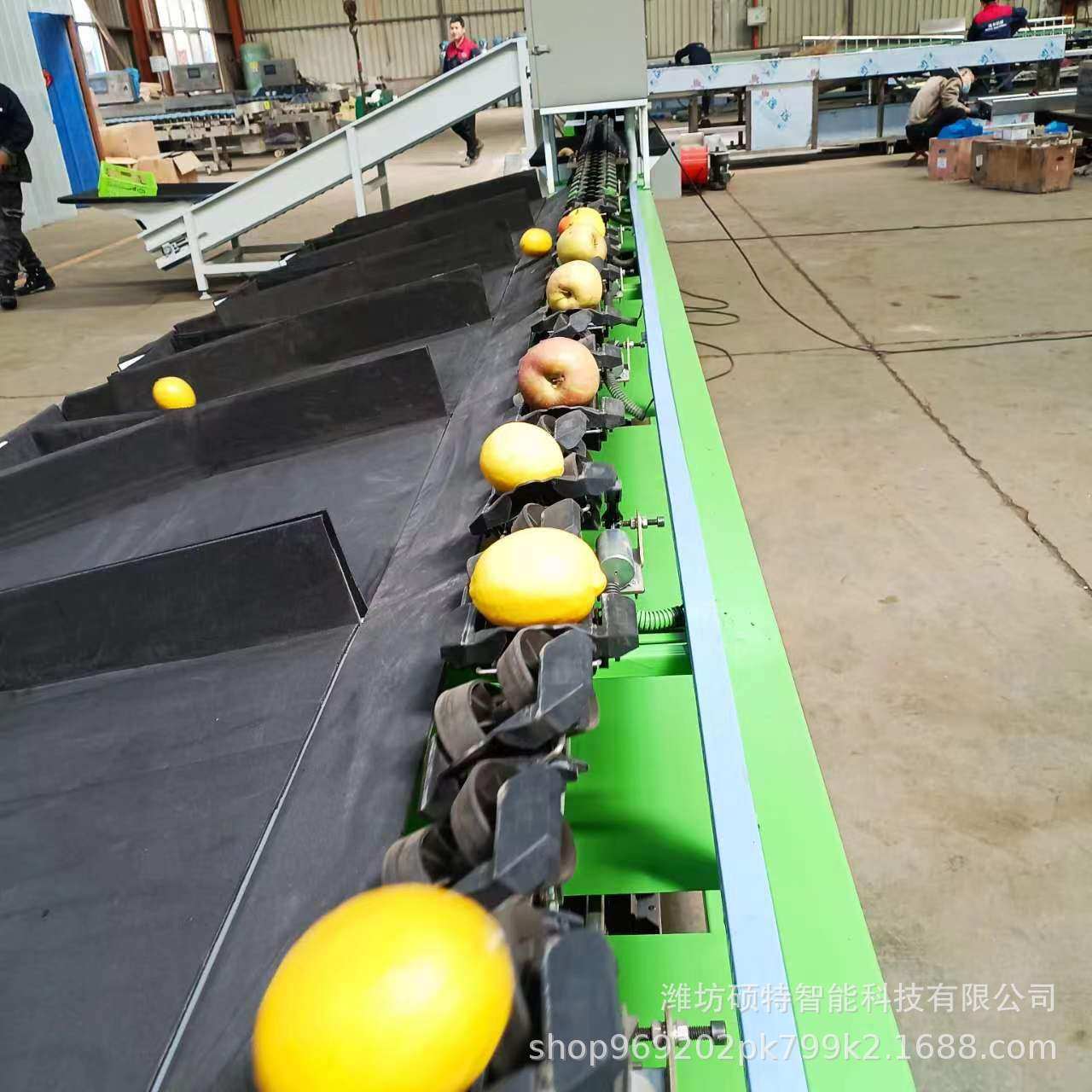全自动牛油果重量分选机 百香果称重选果机猕猴桃分拣机厂家,淘宝优惠券,粉丝福利购,淘宝优惠卷