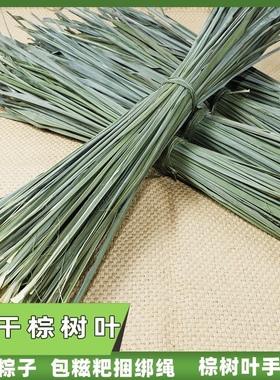 野生棕榈树叶子新鲜采摘传统包粽子捆绑绳手工diy做玩具编织材料