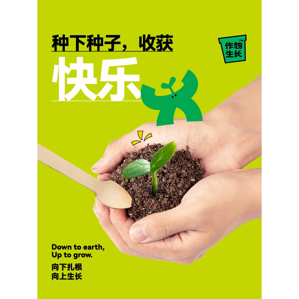 作物生长勿忘我盆栽种植套装迷你绿植花卉创意礼品懒人植物礼物 - 图3