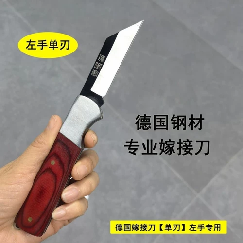 Германия импортировала фенганг фруктовый дерево