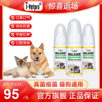 Singapore Ivepro Raw Ai Weep Import Cat Dog Pet Oral Bacteriostatic Spray Anti-inflammatory Oral gingivitis