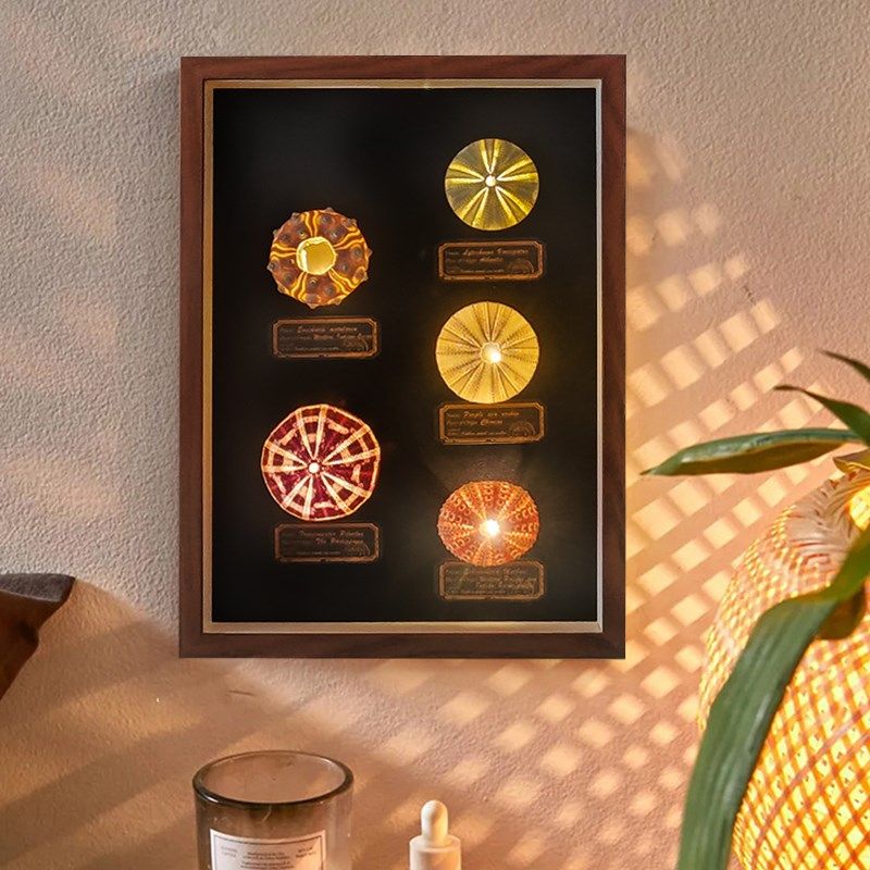 极速天然海胆氛围灯装饰画摆件y相框家居创意植物礼品桌面节日生,淘宝优惠券,粉丝福利购,淘宝优惠卷