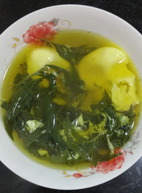 新品艾叶泡水g喝艾茶艾叶煮鸡蛋煮茶食用艾草叶晒干新鲜艾叶茶叶
