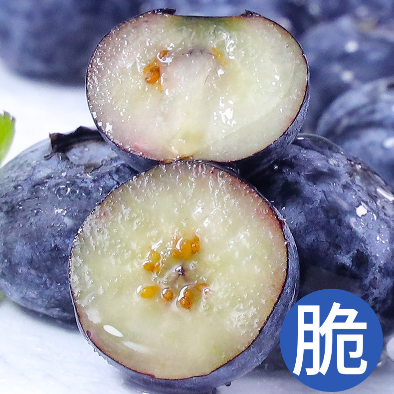 新耐采蓝莓种子盆栽水果种子 蓝果莓树苗种子 抗寒冻水种子,淘宝优惠券,粉丝福利购,淘宝优惠卷