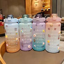 Plastic Water Cup High Face Value Space Cup Gradient Large Capacity Water Cup Straw Cup Tons of Barrel Big Belly Kettle