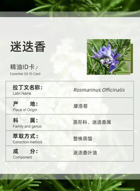 Ozspa桉油醇迷迭香精油摩洛哥进口植物萃取提神醒脑专注力提升